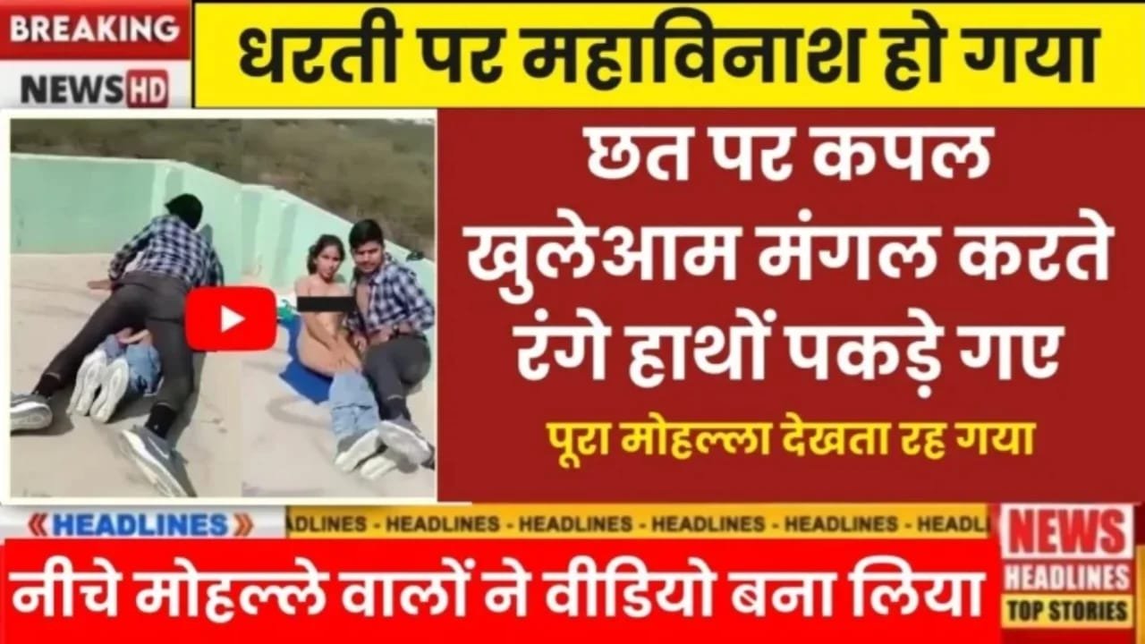 vi-budget-bonus-pack